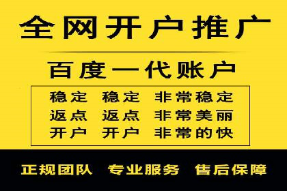 百度竞价代理的投放技巧与效果评估案例